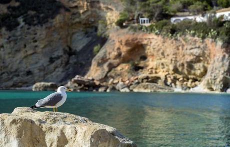 street style barbara crespo cabo la nao javea alicante hakei dress sea views fashion blogger outfit blog de moda street style barbara crespo cabo la nao javea alicante hakei dress sea views fashion blogger outfit blog de moda