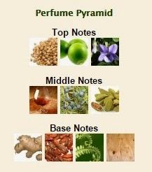 El Perfume del Mes – “21 Le Fou” de DOLCE & GABBANA