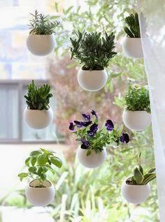 Nueva tendencia decorativa, jardines verticales interiores