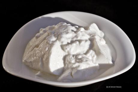 Yogur probioticos