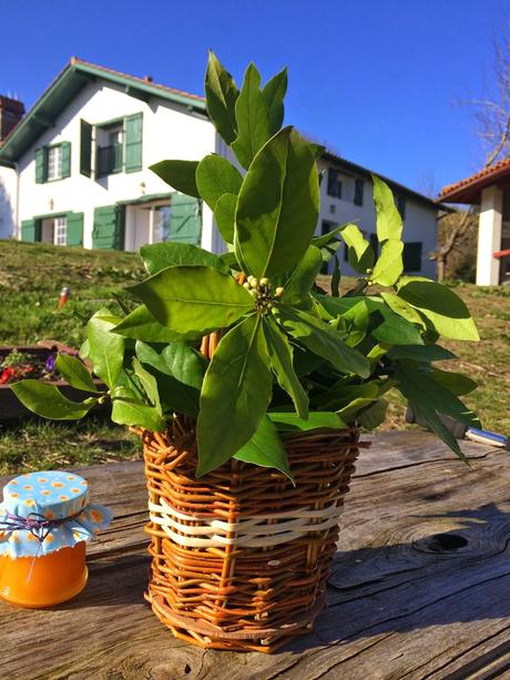 Fotos...una propuesta de Fin de Semana especial