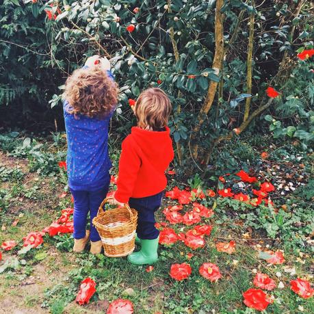 Fotos...una propuesta de Fin de Semana especial