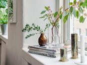 diariodeco11 decorar plantas repisas ventanas sorteo