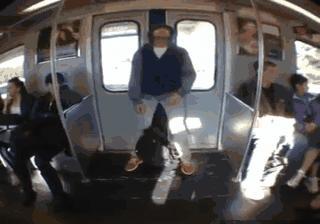 Cheezburger animated GIF 