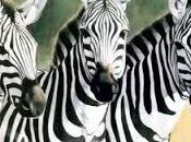 necesitas saber soñar cebras