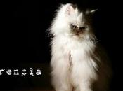 Estamos Agustito LXXX. Indiferencia...