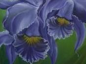 Conexión entre estructura creatividad