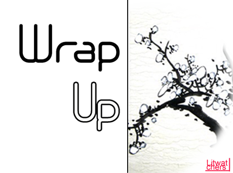 Wrap up Stargazer Enero