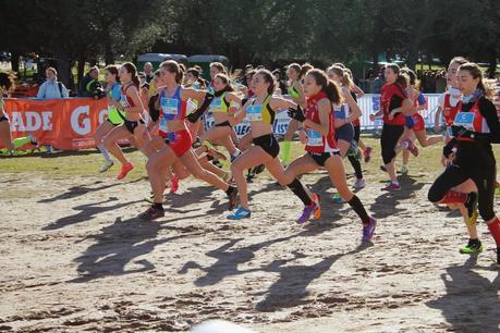 LVI TROFEO MARATHON CAMPO A TRAVÉS LVI TROFEO MARATHON CAMPO A TRAVÉS