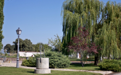 colores-de-boda-finca-alcudia-jardin-exterior Fincas de estilo español: La Alcudia