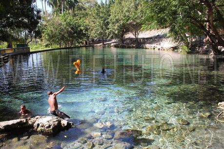 La importancia de los Humedales.