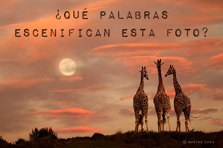 ¿Cómo escenificar palabras?