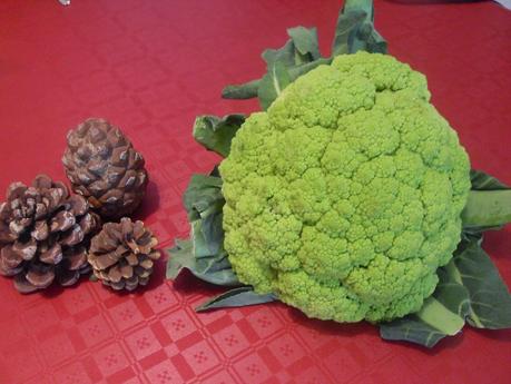 Macarrones a la boloñesa con broquil