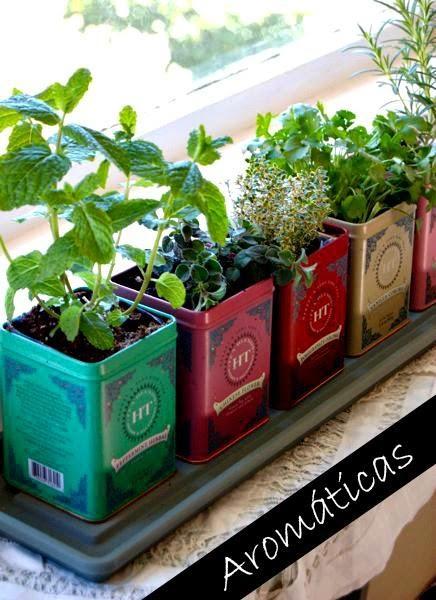 PLANTAS ENLATADAS: #DiarioDeco11 + Sorteo