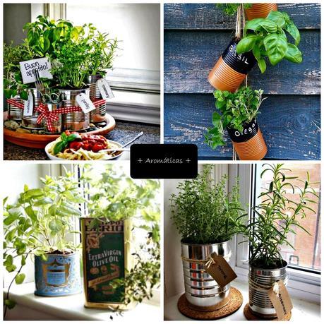 PLANTAS ENLATADAS: #DiarioDeco11 + Sorteo