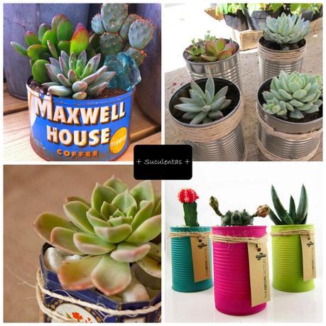 PLANTAS ENLATADAS: #DiarioDeco11 + Sorteo