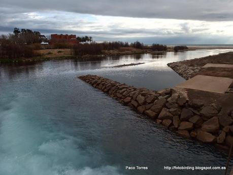 137. Parc Fluvial y desembocadura del Besòs