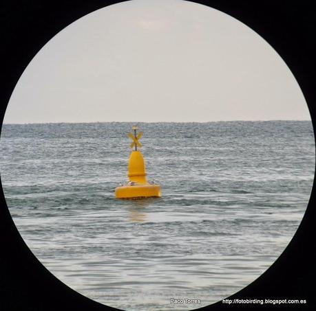 137. Parc Fluvial y desembocadura del Besòs