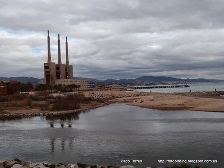 137. Parc Fluvial y desembocadura del Besòs