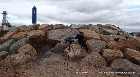 137. Parc Fluvial y desembocadura del Besòs