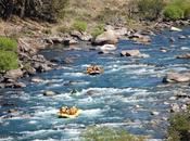 artículos Argentina Live visitados durante Enero 2015