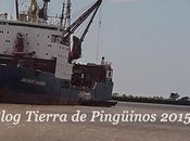 buque polar vasiliyn golovnin encuentra aprovisonando bases antárticas argentinas