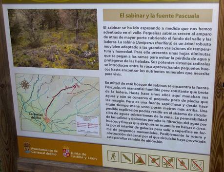 Senda del Cañón de Valdehornos Senda del Cañón de Valdehornos