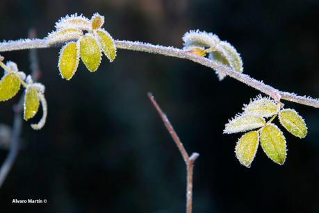 Senda del Cañón de Valdehornos Senda del Cañón de Valdehornos