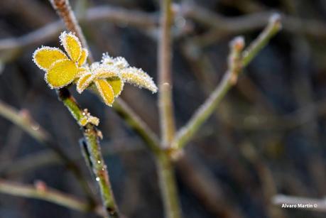 Senda del Cañón de Valdehornos Senda del Cañón de Valdehornos