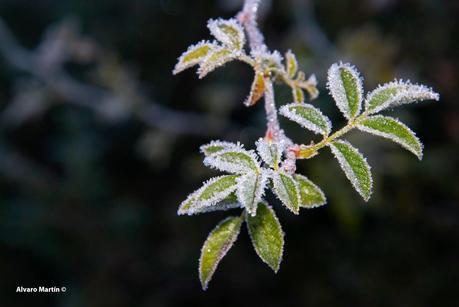 Senda del Cañón de Valdehornos Senda del Cañón de Valdehornos