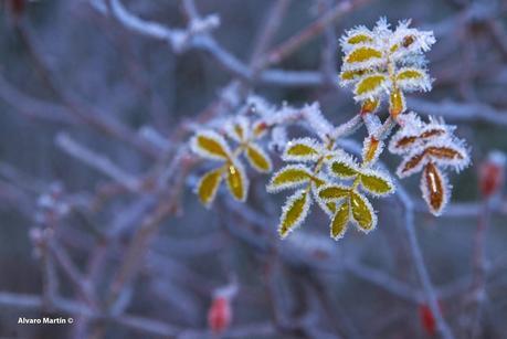 Senda del Cañón de Valdehornos Senda del Cañón de Valdehornos
