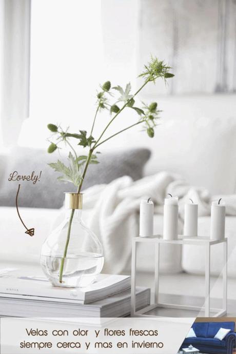 Tardes perfectas de invierno: libro, manta y sofá Karanné