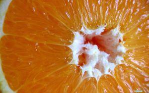 Orange Fruit Wallpapers-013
