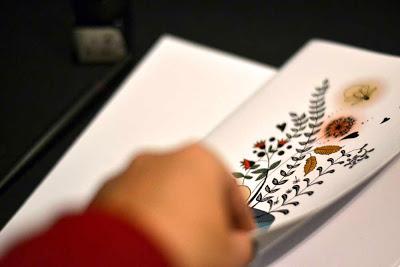 COLECCIÓN NIT de Mónica Custudio