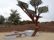 Energía solar: E-tree