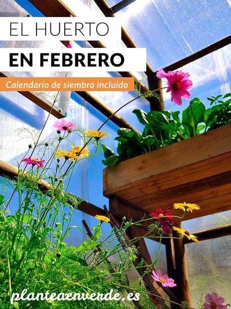 que sembrar en febrero - calendario de siembra