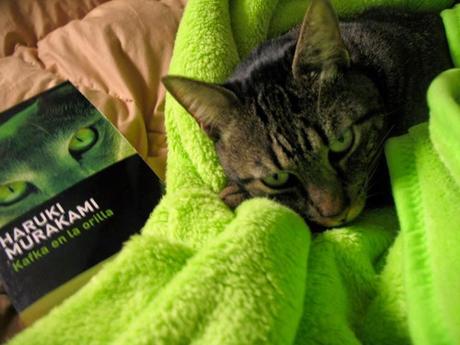 Nuestra propia biblioteca