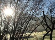 Congreso: "meditación contemplación"