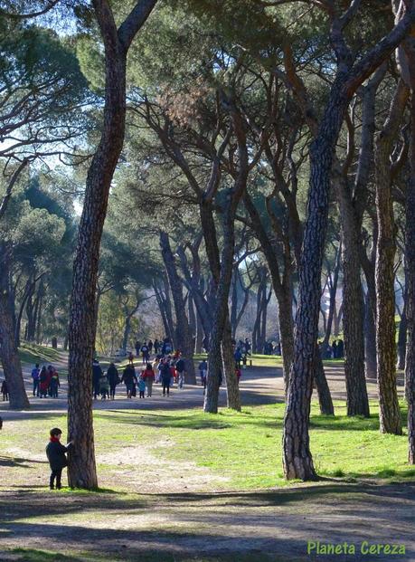 Plantación Vecinal 2015 Dehesa de la Villa