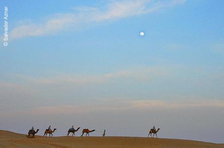 En el desierto del Thar