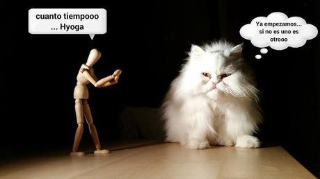 El Patxi. El Reencuentro