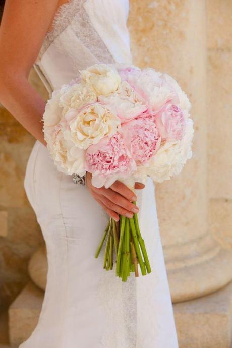 Peonias blancas y rosas