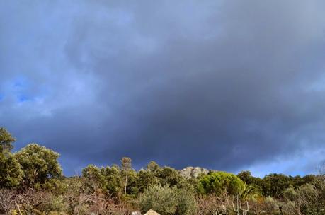 Desafiando a las nubes.