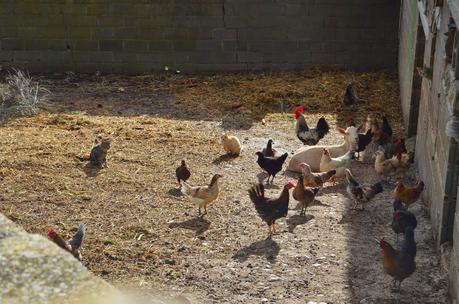 Desafiando a las nubes.