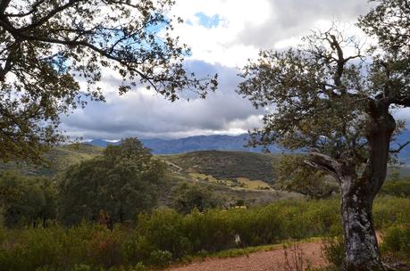 Desafiando a las nubes.