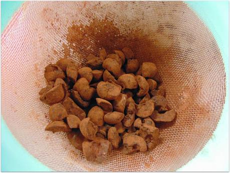 Cherry & Chocolate sponge cake