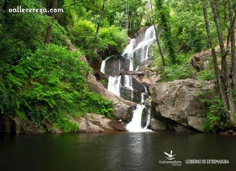 Garganta de la Nogaledas (Valle del Jerte)