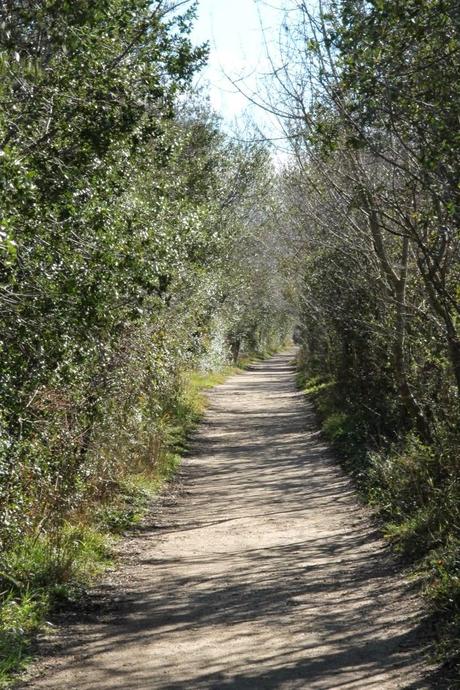 Un domingo cualquiera en els Aiguamolls d'Empordà