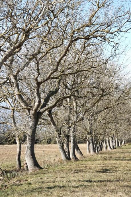 Un domingo cualquiera en els Aiguamolls d'Empordà