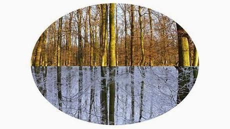 Interesantes exposiciones en la programación de Matadero de Madrid